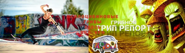 прущий лед Алексеевка