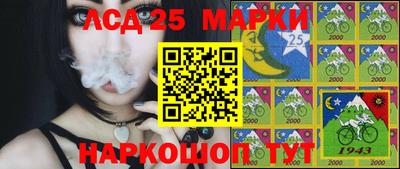 мдма Кингисепп