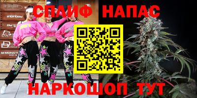 мдма Кингисепп