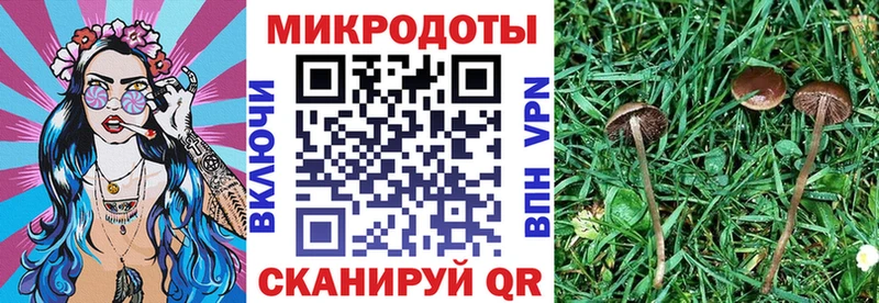 Галлюциногенные грибы GOLDEN TEACHER Кызыл